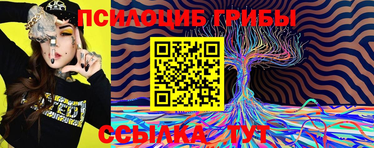 Галлюциногенные грибы Cubensis Касимов