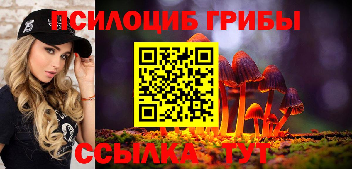купить наркотик  Вход с VPN  Касимов  Галлюциногенные грибы мухоморы  Псилоцибиновые грибы мицелий 